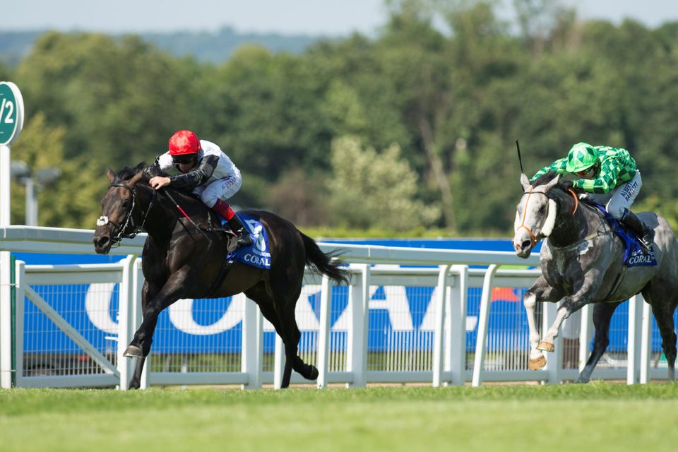 Golden Horn