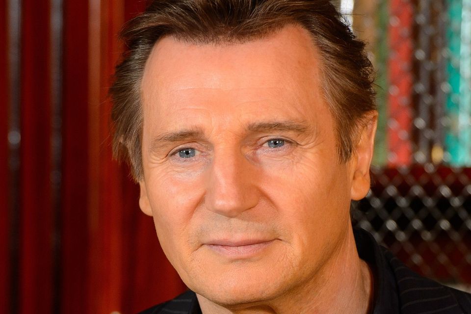 Actor Liam Neeson has criticised New York's mayor, who wants to end the city's horse-drawn carriage service