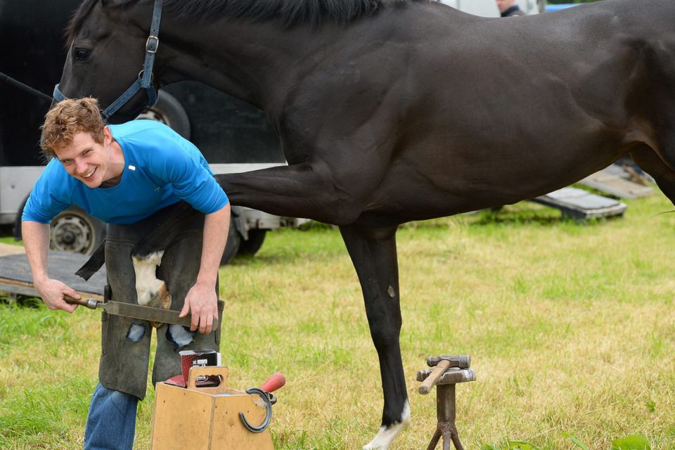 The Comfort, Stretch and Panic Model, Made Simple - Horse Riding