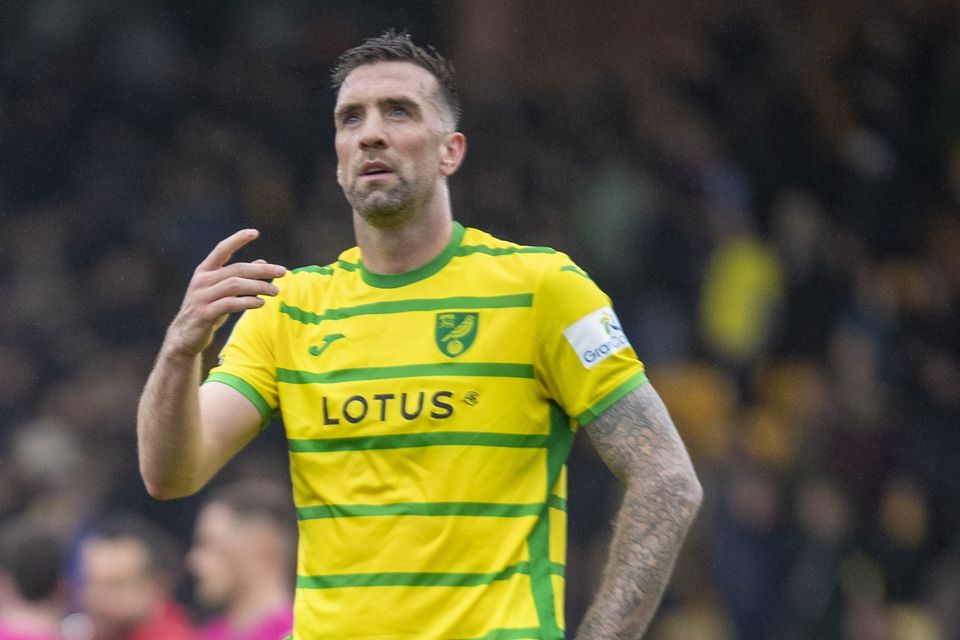 Norwich City's Shane Duffy. Photo: Getty