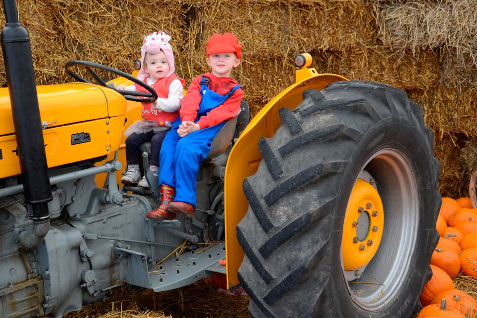 Rathwood at Halloween