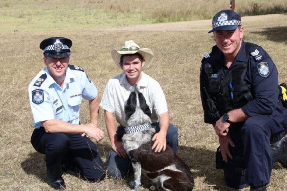Max was made Queensland's first honorary police dog (Queensland Police/PA)