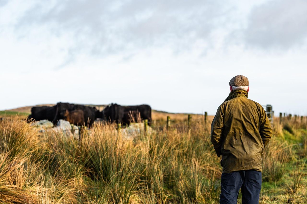 Farmers armchairs deals