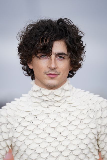 The real Timothee Chalamet (Yui Mok/PA)