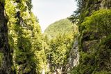 thumbnail: Aare gorge