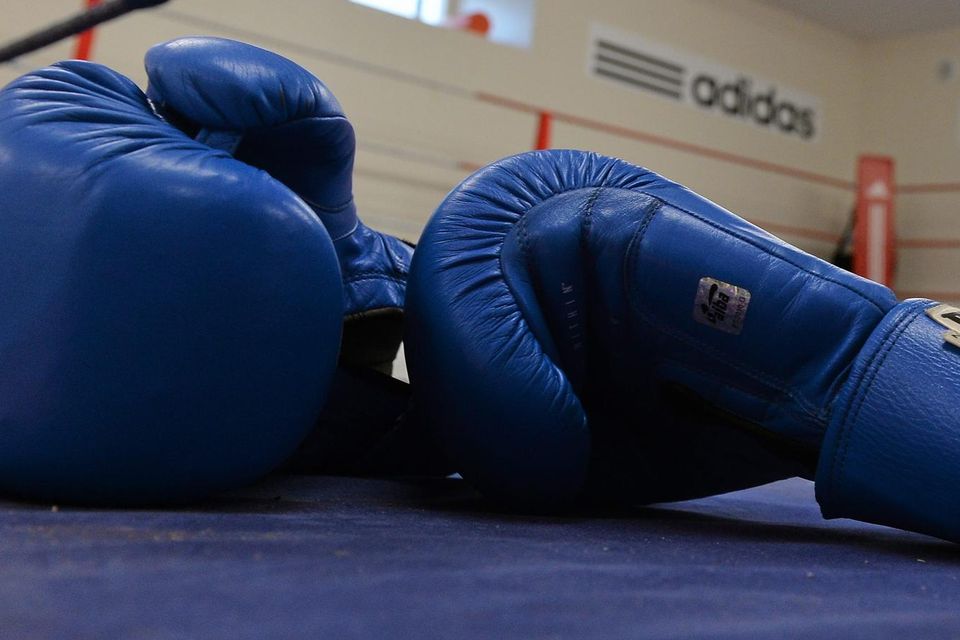 It has been a good week for boxers from the Cashen Vale club