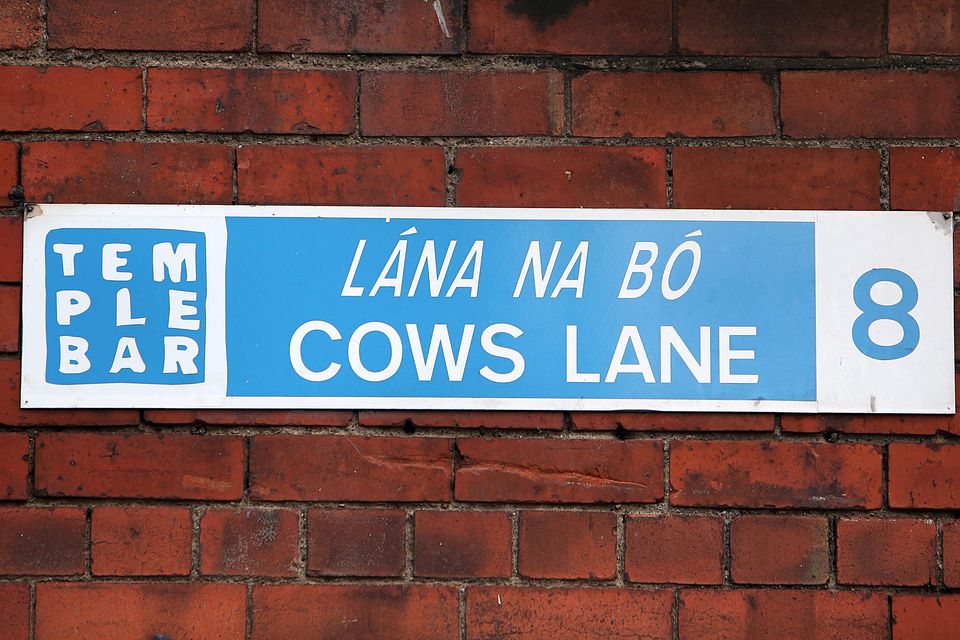 Cow's Lane in Temple Bar where the homeless person was found dead this morning