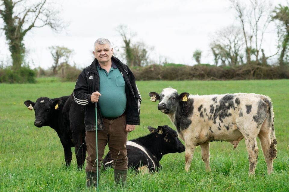 John Bateman from Croom, Co Limerick, whose farm has been hit by TB in the past. Photos: Don Moloney