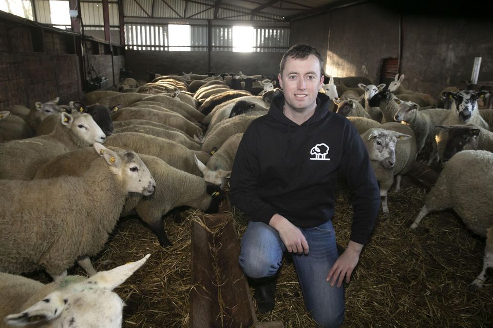 Meet the Wexford sheep farmer educating the next generation of farmers ...