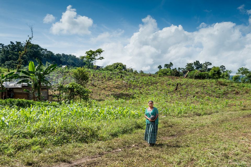 John says: "Most indigenous Mayans are rural farmers whose livelihoods and survival depends on the cultivation of their land. In Guatemala 2pc of the population owning 70pc of all productive farmland. Ongoing eviction is commonplace for many Mayans living in isolated rural areas."
