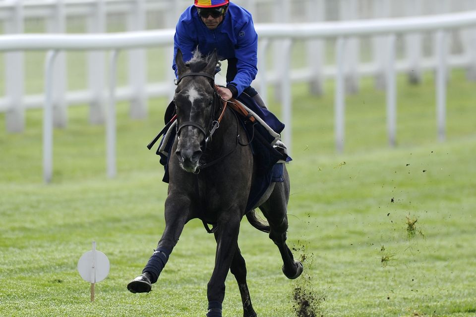Frankie Dettori riding Amazing Maria during the 'Breakfast with the Stars' morning at Epsom racecourse. The three-year old stands out as being potentially underrated at up to 8/1 in this year's Goodwood's Nassau Stakes. Photo by Alan Crowhurst/Getty Images