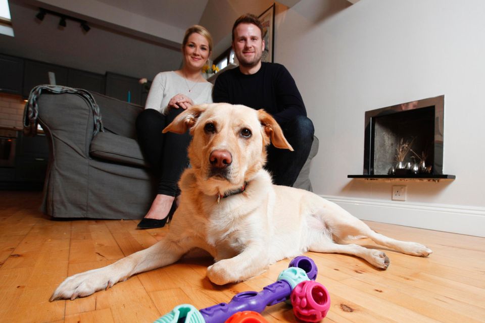 K9 Connectables founders Lauren and James McIlvena from Howth with Sandy the Labrador and his toys. Photo: Conor McCabe