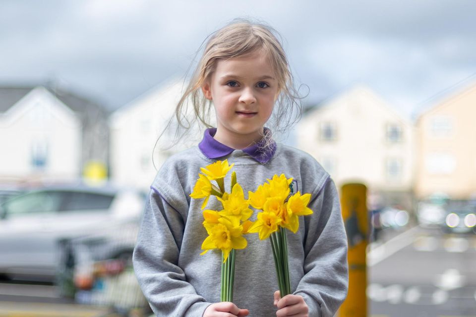 Layla Lyne pictured on Daffodil Day in Killarney on Friday. Photo by Tatyana McGough.