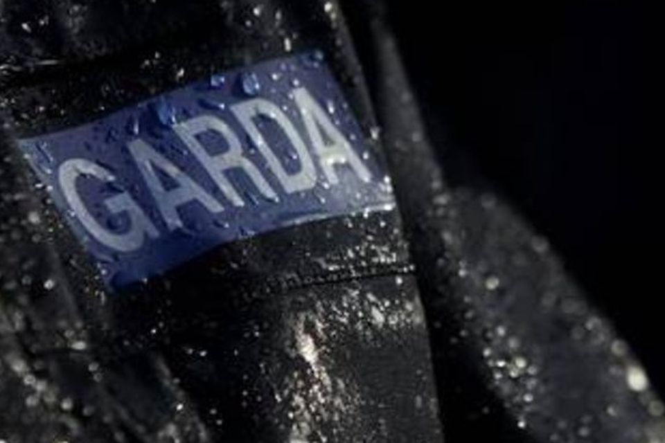 Chaperones: Gardaí escort illegal immigrants when expelled. Stock photo