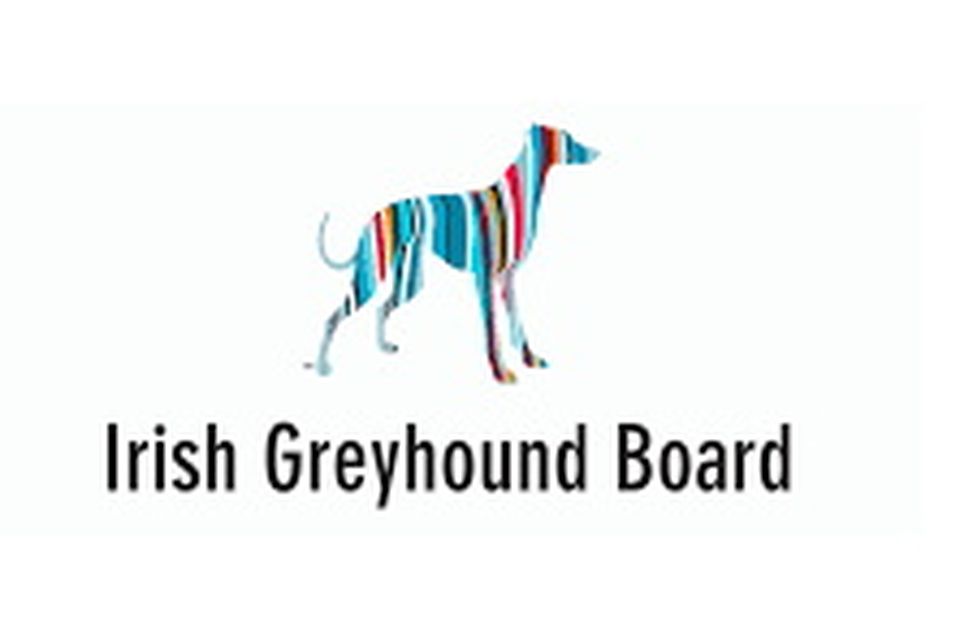 Igb greyhound sales