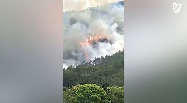 Boeing 737 crashes into mountain in China | Independent.ie