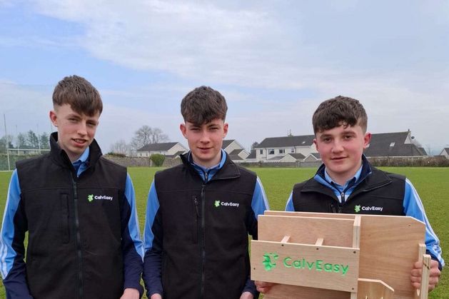 Cork students tackle calving chaos with €50 equipment organiser