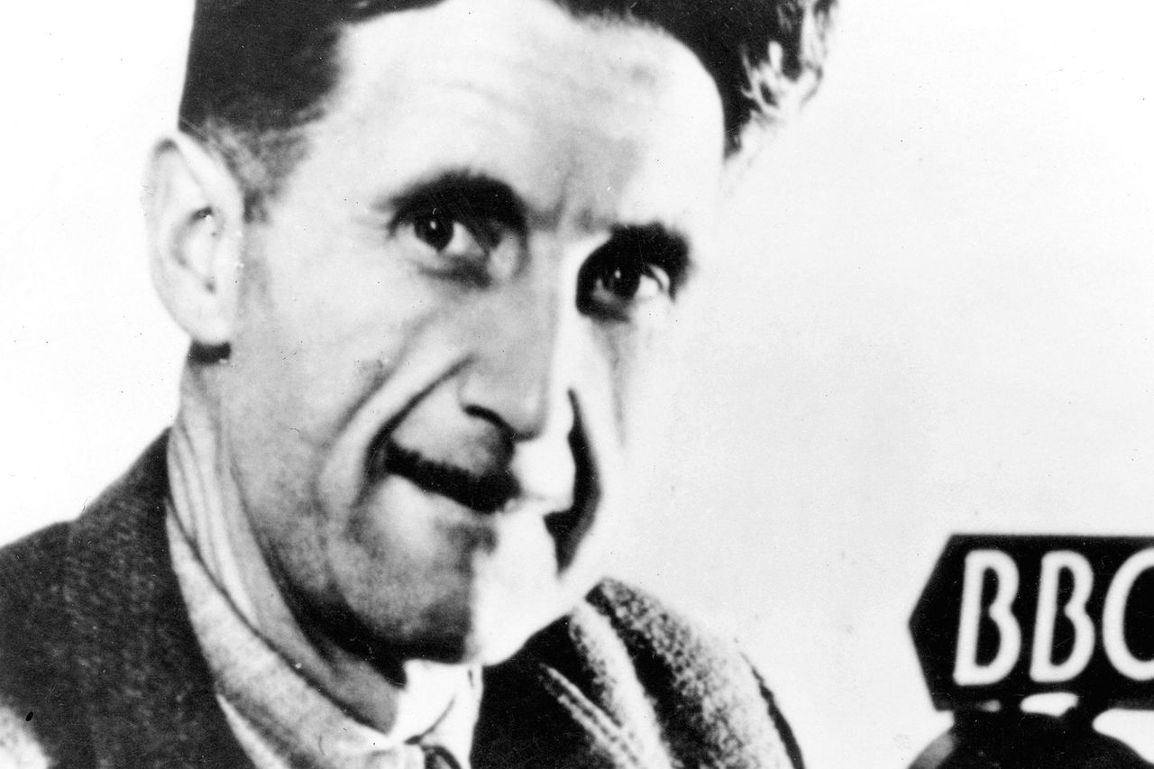 Department 'like Orwell's pig dictator' in treatment of woman | Irish ...