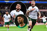 thumbnail: James McClean was Ireland's star man in qualifying campaign, Robbie Brady (inset, top) could do more while Wes Hoolahan (inset, bottom) is one of our ball players