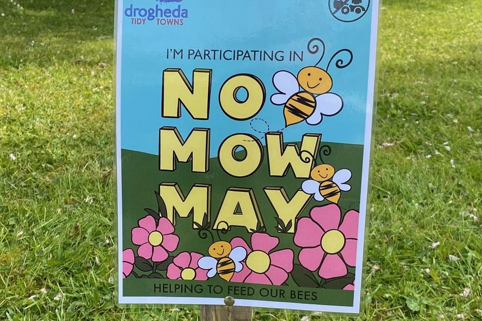 The public can get signs to show they are taking part in No Mow May and not cutting their grass for a month.