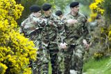 thumbnail: Gardaí and members of the Defence Forces conduct searches at Rathmichael, Co Dublin, where the body of Jastine Valdez was found. Photo: Tony Gavin