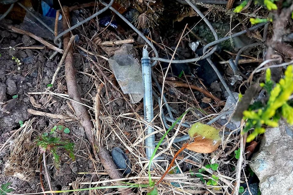 Some of the discarded needles found in the laneway.