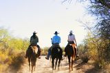 thumbnail: Riders on a dirt path in Arizona.