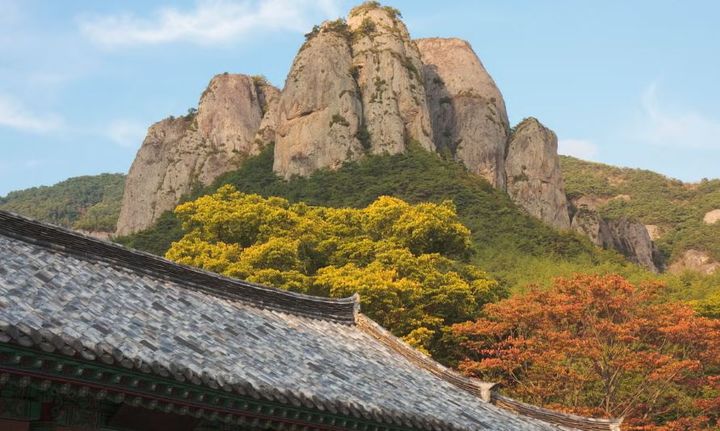 Missing 11-year-old found dead near South Korean mountain peak