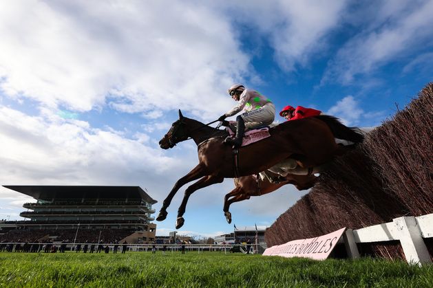Wayne Bailey: I'm hoping to strike gold in Punchestown with Gaelic Warrior this time