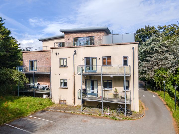 Tranche of Stepaside apartments sell above guide price, but below survey levels