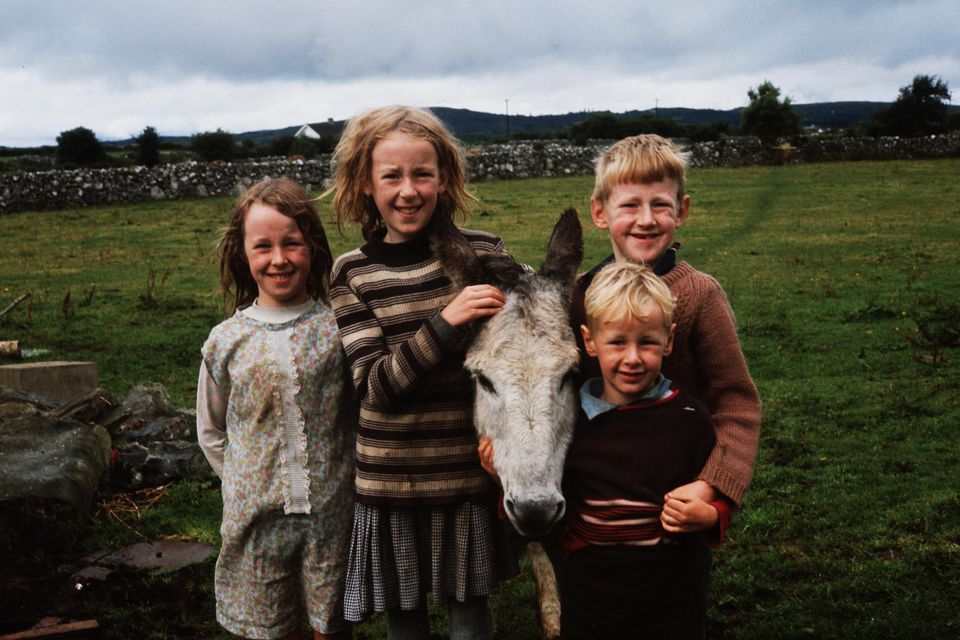 Joys and pains: The childhood family farm is recalled as a place of gentleness and hardness