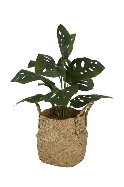 Artificial plant, €17.99, TK Maxx; tkmaxx.ie 