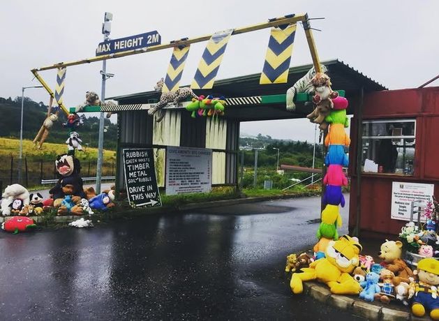 Cork council planning to reopen some recycling sites to timber soon