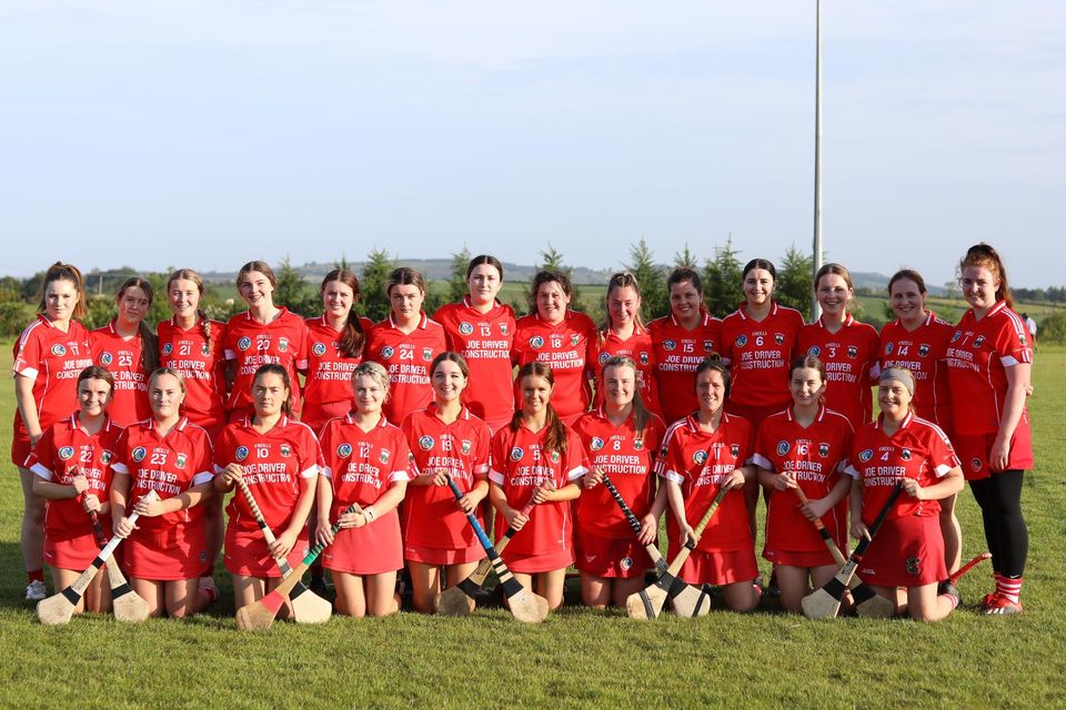 The Glenealy team who gave their all against Aughrim in the Intermediate camogie league final in Ballinakill.
