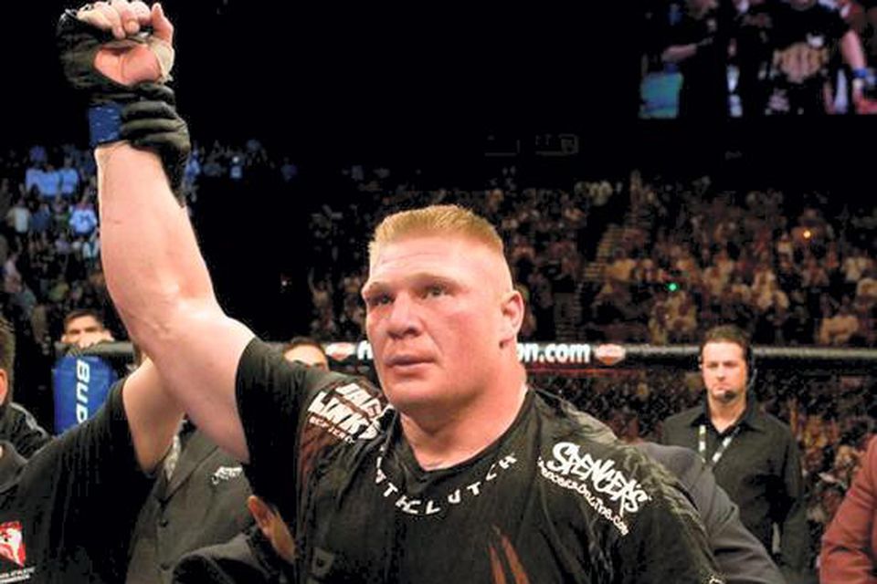 Brock Lesnar, UFC fighter