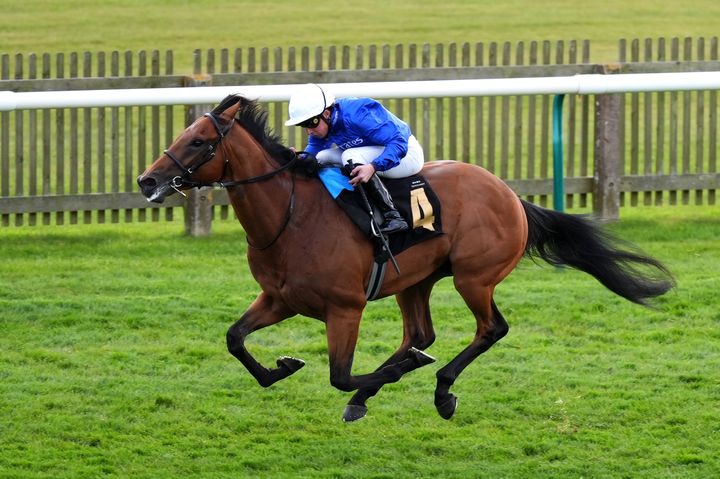 Wayne Bailey: Charlie Appleby’s Maho Bay has the pace to pass his Derby Trial test at Lingfield