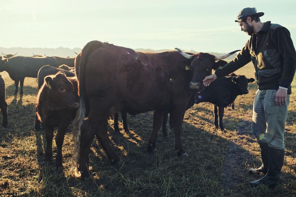 Farm Rebellion