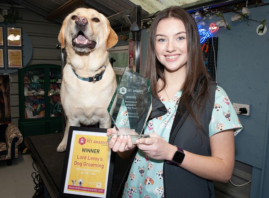 Sarah Ryan and Ramsey pictured with Newcomer Groomer of the Year award at the at the Lord Leroy's Lodge in Castlebridge on Friday. Pic: Jim Campbell