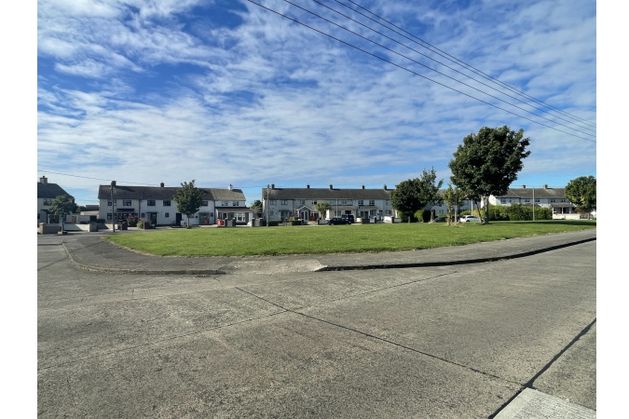 Armed gardaí respond as dog attacks owner in ‘terrifying’ incident