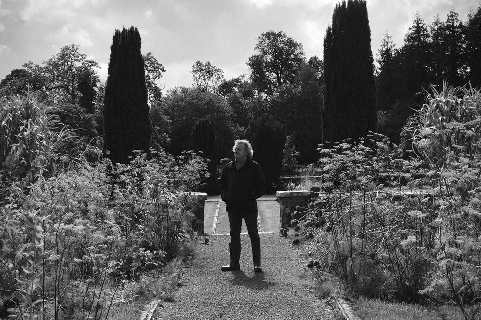 'An element of retreat': Tomás Hardiman in The Days of Trees