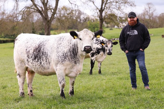 From the front line to the farm: how this former soldier built a Speckle Park success story