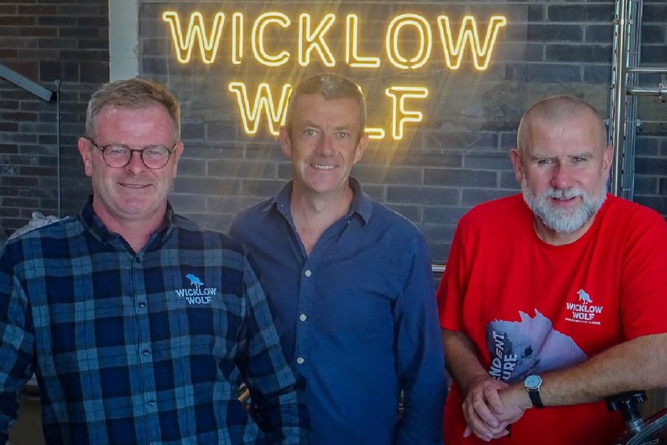 Simon Lynch with Food Matters presenter Michael Kelly and Quincey Fennelly at Wicklow Wolf Brewery.