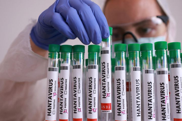 Hantavirus outbreak highlights dangerous gaps in worldwide defences