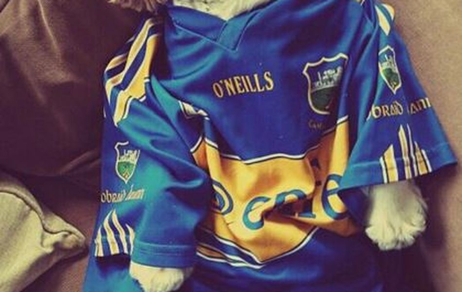 Who are the biggest fans?! Tipperary - Kilkenny supporters send in ...