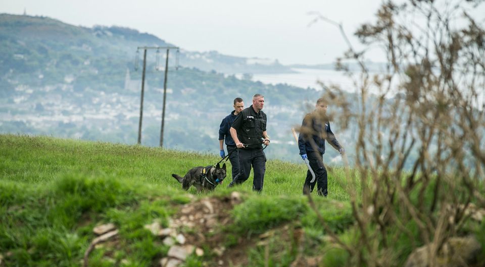 Gardai searching at the top of Rathmichael at  Kathy Gallaghers Lead Mines