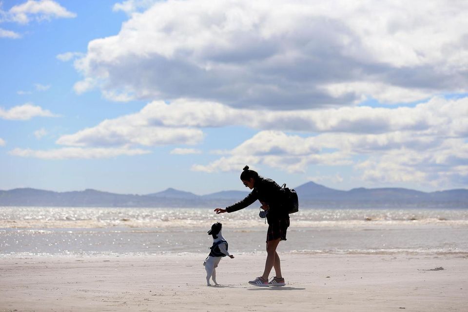 Highest temperatures this Bank Holiday Monday will be up to 18 degrees, according to Met Éireann