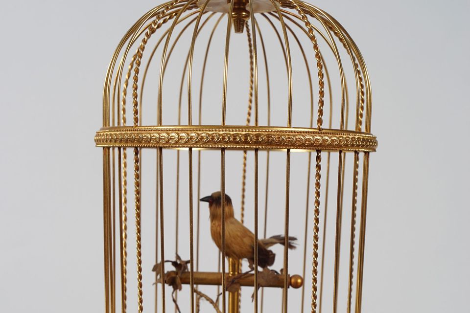 A VINTAGE SINGING BIRD AUTOMATON BRASS BIRD CAGE. 30 cm high.