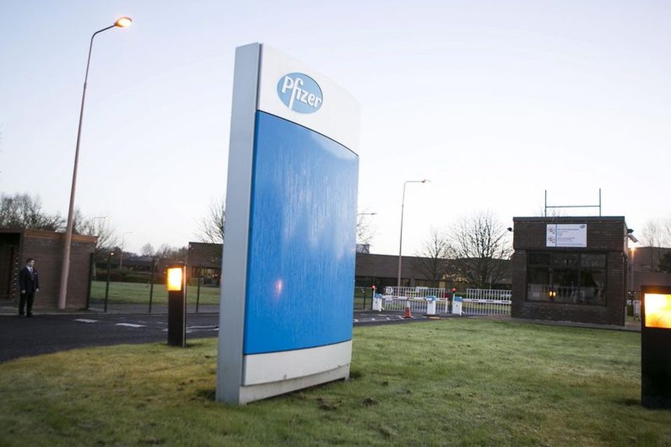 The Pfizer plant in Newbridge