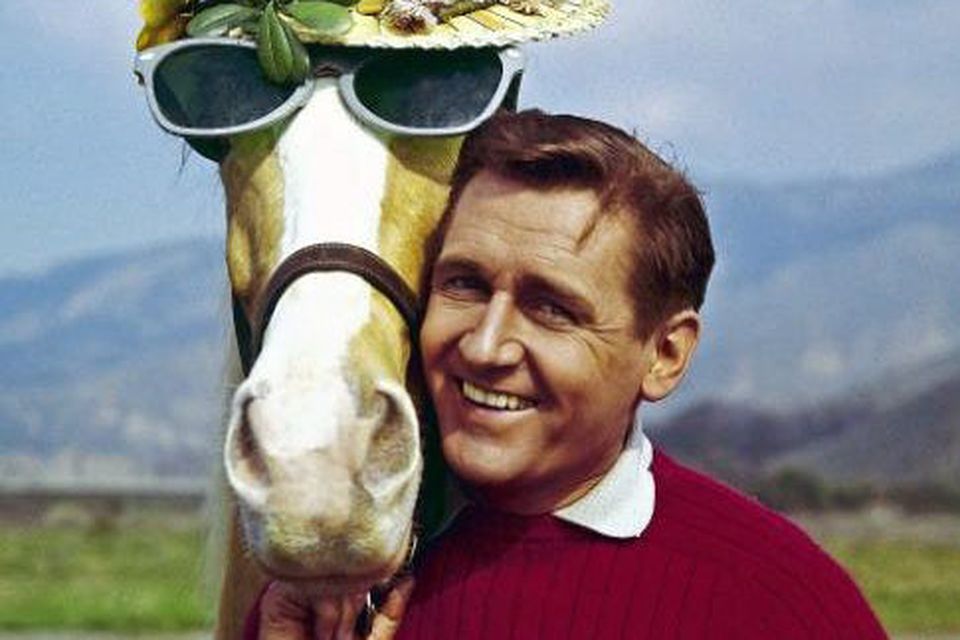 HORSE PLAY: Alan Young with his equine co-starpiece