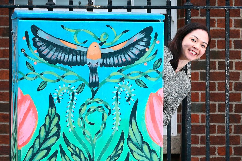 Public art: Canadian artist Emily Kouri's painting The Birds and the Bees is situated near the National Maternity Hospital.  Photo: Frank Mc Grath